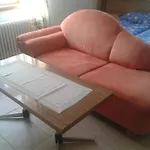 Dora 3*